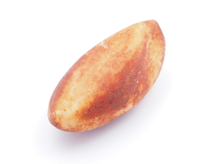 nuts on a white backgroundの写真素材