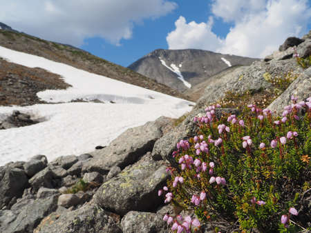 mountain Hibinyの写真素材