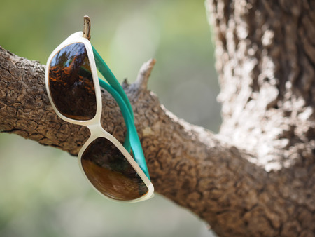 sunglasses on a treeの写真素材