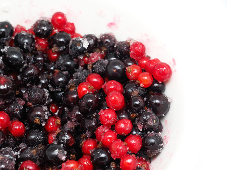 black and red currants in sugar on a white backgroundの写真素材