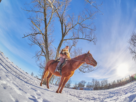 Medieval girl on a horse in the winterの写真素材
