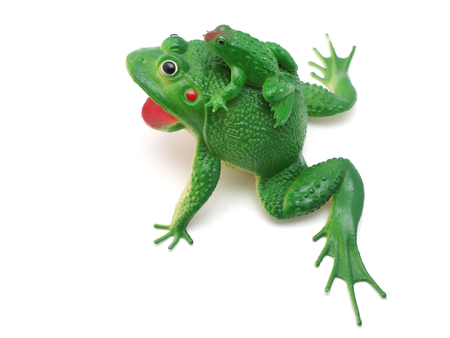 toy frog on white backgroundの写真素材