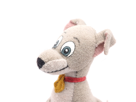 soft toy dog on a white backgroundの写真素材