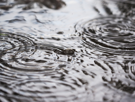 Air bubbles in a puddleの写真素材