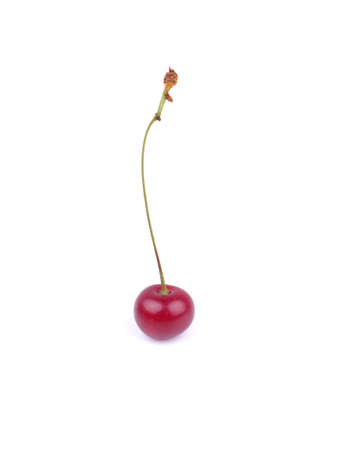 cherries on a white background