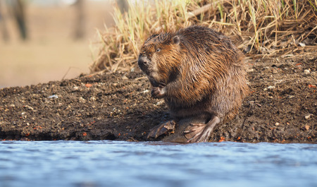 Beaver Riverの写真素材