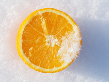 Orange in the snowの写真素材
