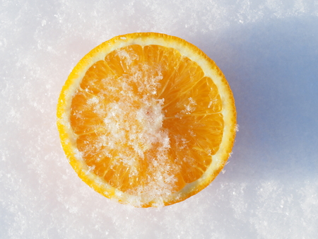Orange in the snowの写真素材