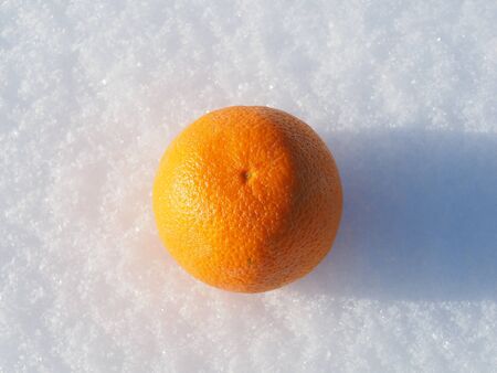 Orange in the snowの写真素材