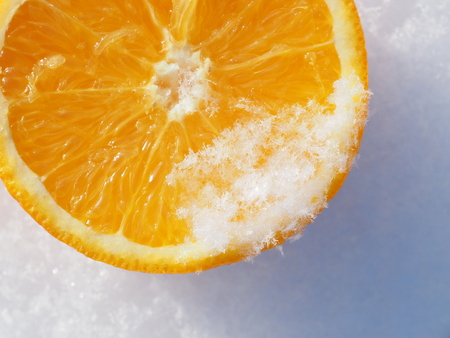 Orange in the snowの写真素材