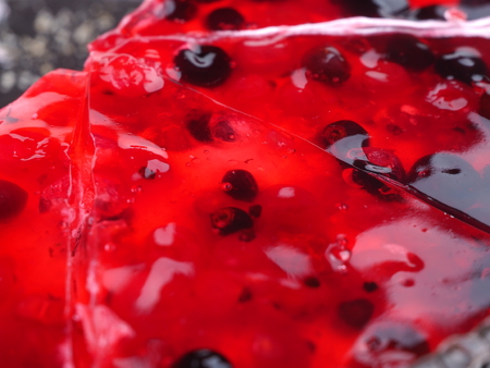 Berry pie on a white backgroundの写真素材