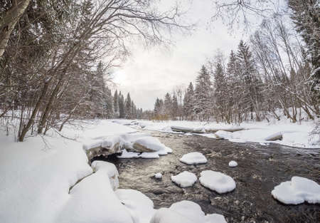 River in the forest. winterの写真素材