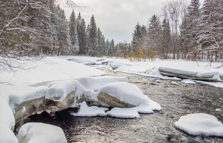 River in the forest. winterの写真素材