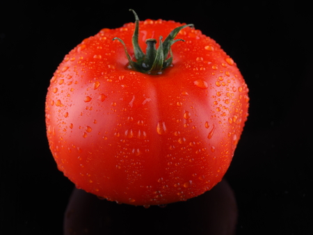 Tomato on a dark backgroundの写真素材