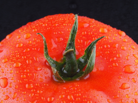 Tomato on a dark backgroundの写真素材