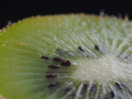 Kiwi on a dark backgroundの写真素材