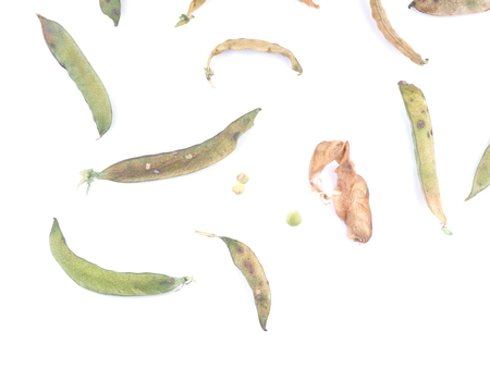 dry peas on a white backgroundの写真素材
