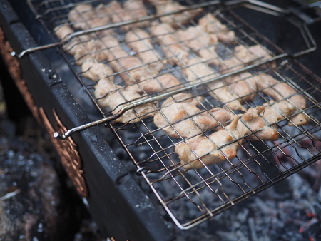 shish kebab on the grillの写真素材