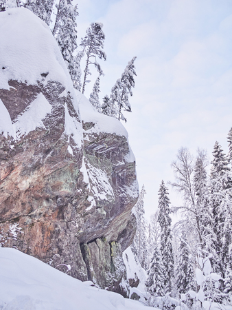 winter in the taigaの写真素材