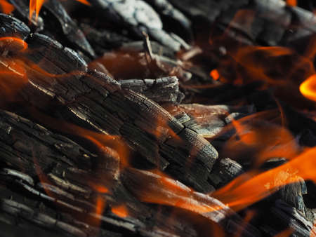 firewood burns in a fireplace