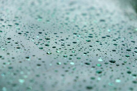 Water dropsの写真素材