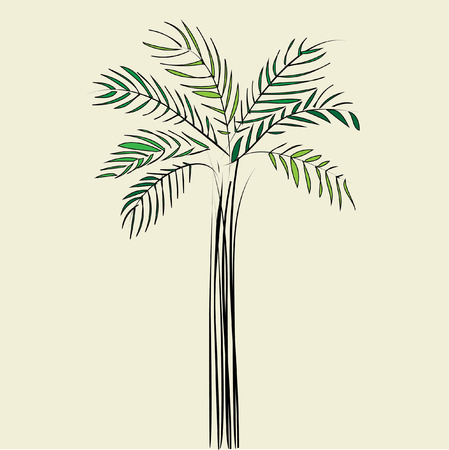 a green palm on a beige backgroundのイラスト素材