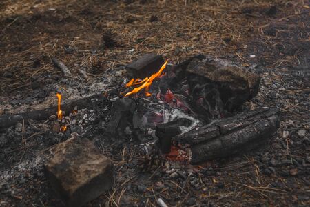 bonfire at sunset in the forest.の写真素材