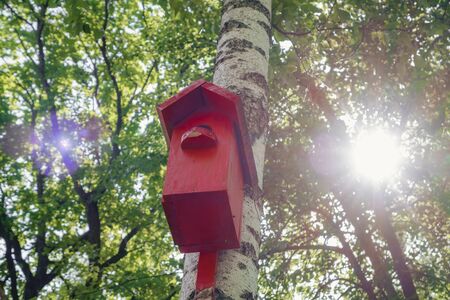 Red color painted birdhouse. Nesting box on tree.