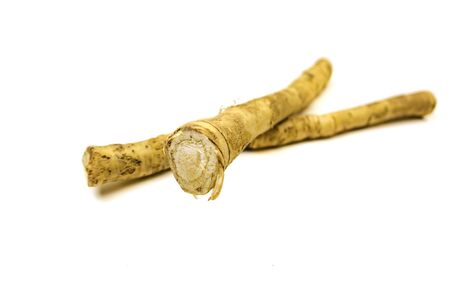 Fresh horseradish root isolated on white background.の写真素材