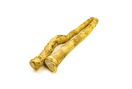 Fresh horseradish root isolated on white background.の写真素材