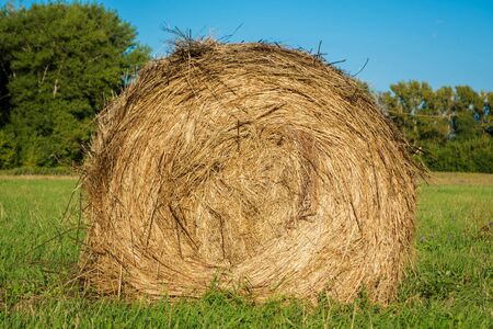 one haystack on a Sunny summer day, close-up, agriculture concept.の写真素材