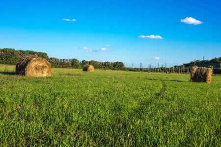 haystack lying among the green field and blue sky.の写真素材