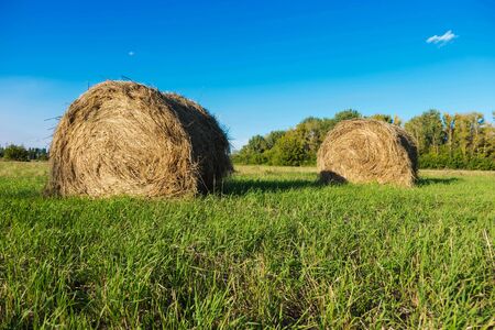 haystacks on a Sunny summer day with a cloudless sky.の写真素材