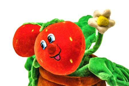 soft strawberry toy isolated on white background.の写真素材