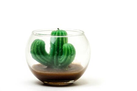 Green Cactus candle detais with white background.の写真素材