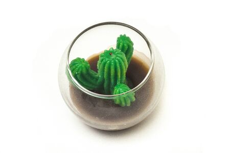 Green Cactus candle detais with white background.の写真素材
