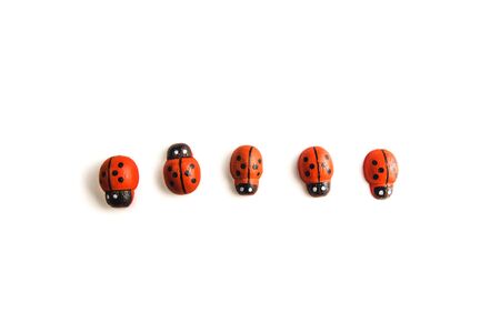 Toy ladybug red on a white background.の写真素材