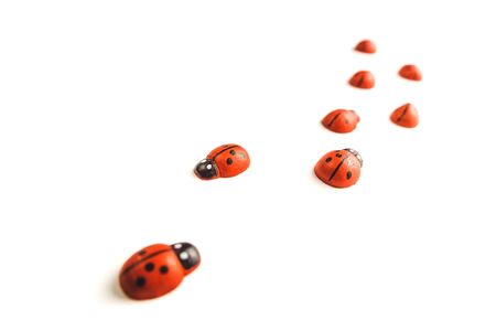 Toy ladybug red on a white background.の写真素材