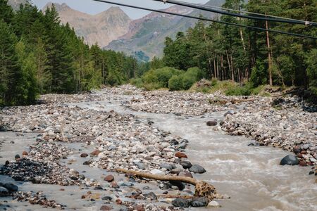 big mountains peeking out from behind the trees.の写真素材