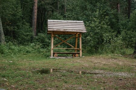 wooden gazebo standing deep in the forestの写真素材