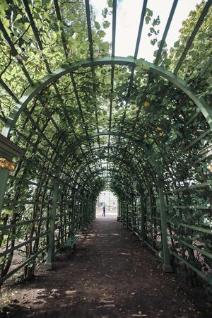 Saint-Petersburg, Russia - June 06, 2019: View of the Summer garden. Popular landmark, public park in the historical city centerのeditorial素材