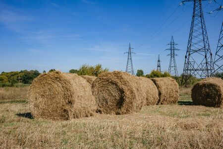 round haystack in a large field. concept of agricultureの写真素材