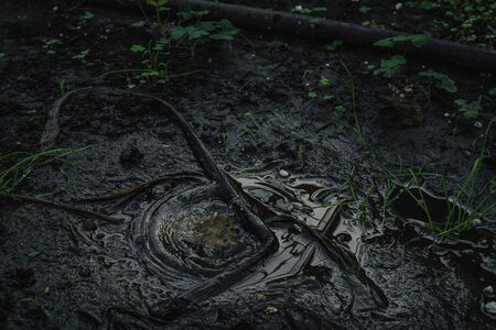 Soil Background mud puddle marsh well blue sky rice.