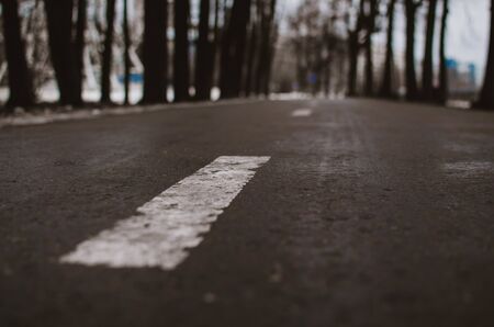 road marking separating lanes on the asphalt.