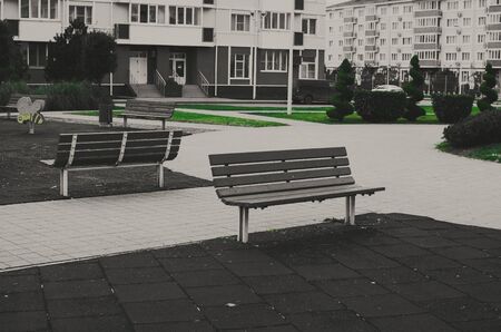 park in the city center with benches and lawnの写真素材
