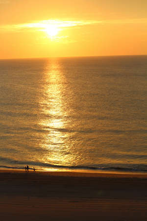 Family walking the shoreline during the sunrise on the beachの写真素材