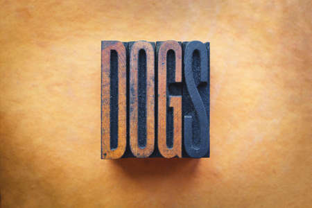 The word DOGS written in vintage letterpress type.の写真素材