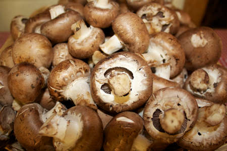A pile of portabello mushroomsの写真素材
