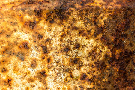 A rusted and weathered sheet of metal.