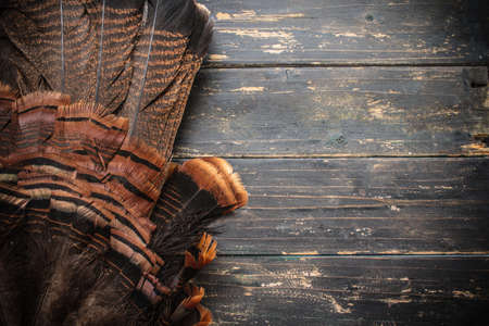 An eastern wild turkey tail feathers  on a wooden background.の写真素材